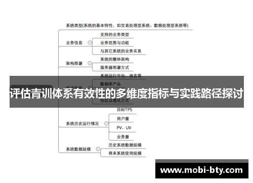 评估青训体系有效性的多维度指标与实践路径探讨