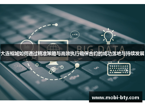 大连鲲城如何通过精准策略与高效执行确保合约的成功落地与持续发展