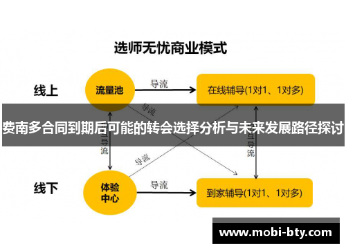 费南多合同到期后可能的转会选择分析与未来发展路径探讨