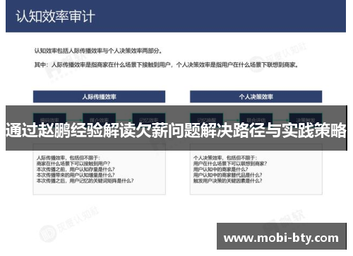 通过赵鹏经验解读欠薪问题解决路径与实践策略