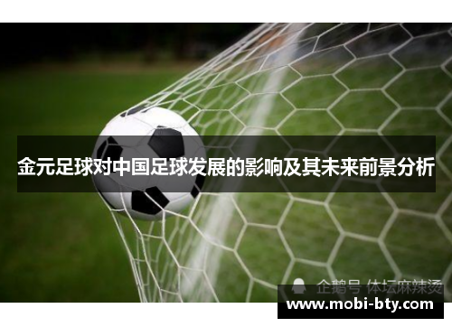 金元足球对中国足球发展的影响及其未来前景分析