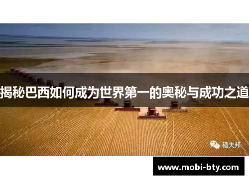 揭秘巴西如何成为世界第一的奥秘与成功之道