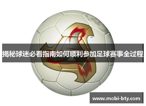 揭秘球迷必看指南如何顺利参加足球赛事全过程