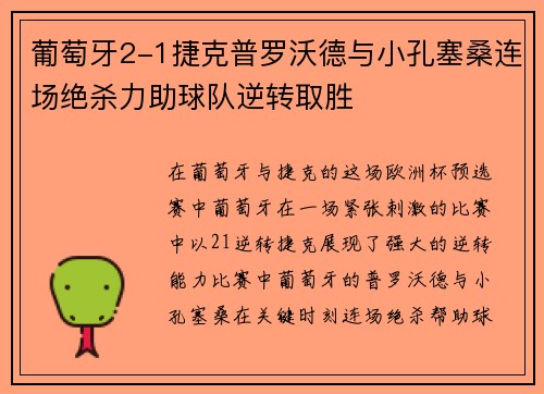 葡萄牙2-1捷克普罗沃德与小孔塞桑连场绝杀力助球队逆转取胜