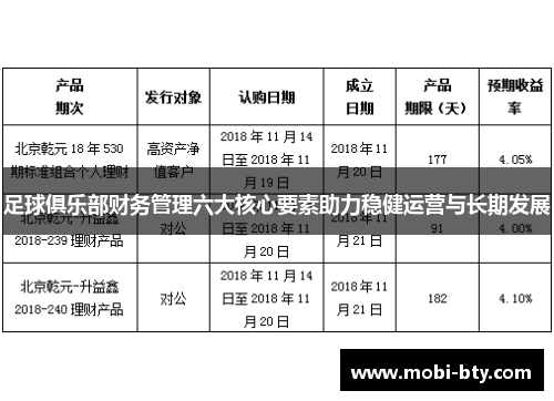 足球俱乐部财务管理六大核心要素助力稳健运营与长期发展 足球俱乐部财务管理六大核心要素助力稳健运营与长期发展