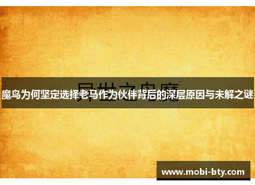 魔鸟为何坚定选择老马作为伙伴背后的深层原因与未解之谜