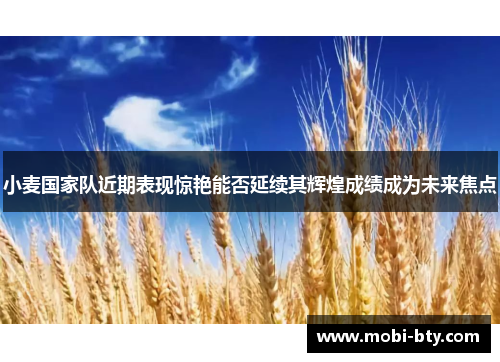 小麦国家队近期表现惊艳能否延续其辉煌成绩成为未来焦点 小麦国家队近期表现惊艳能否延续其辉煌成绩成为未来焦点
